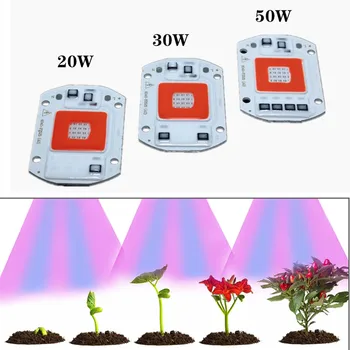 Полный спектр COB LED Grow Light Лампа Chip50W 30W 20W 220V 110V Grow Led чип для выращивания растений в теплице и палатке