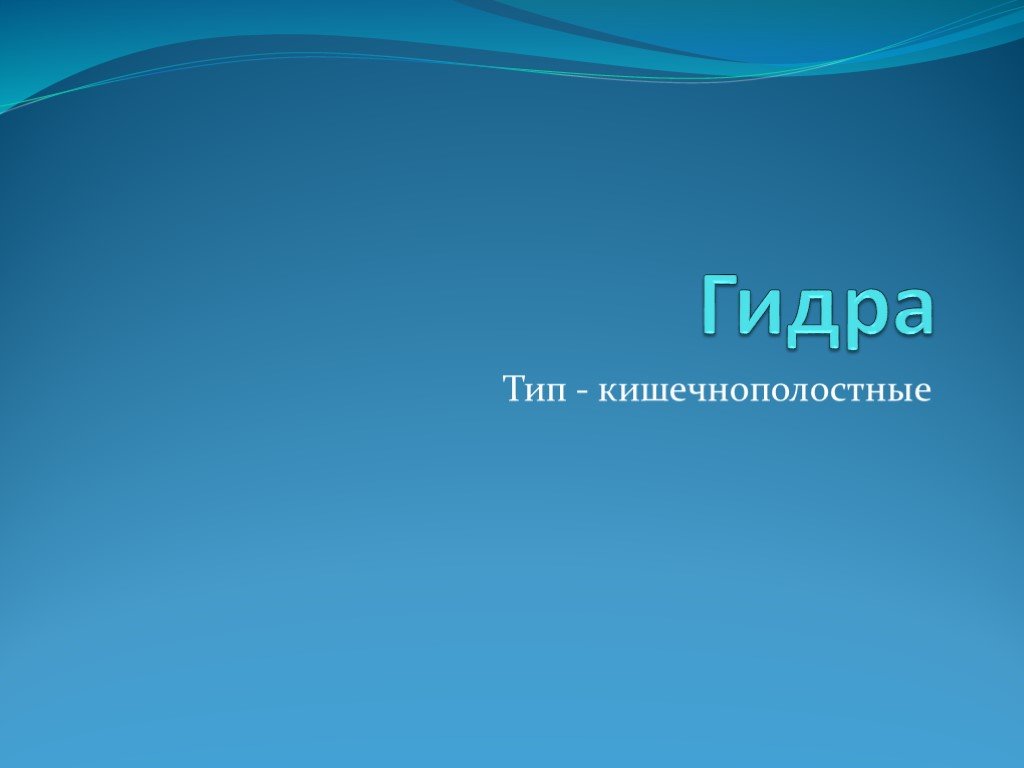 Восстановить доступ к кракену