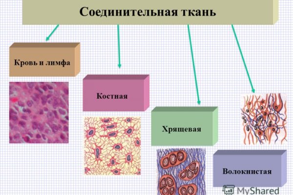 Кракен верное зеркало