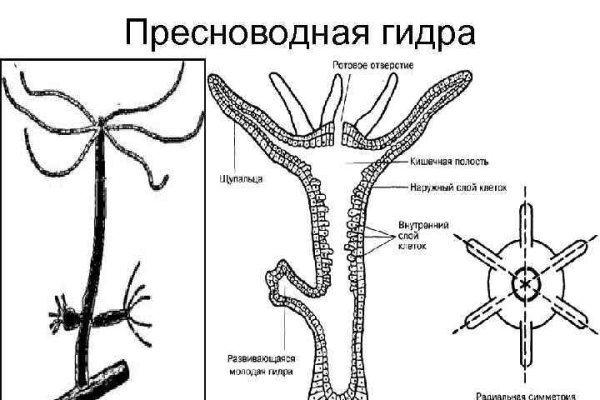 Kra47.cc Вход на сайт главная страница