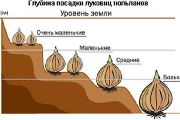 Кракен ссылка store