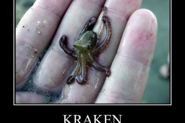 Kraken cc