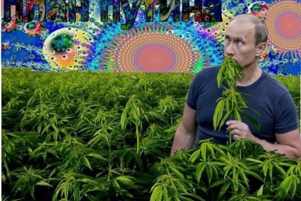 Мега кракен блэк спрут