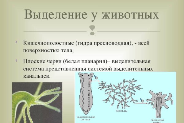 Активная ссылка на кракен
