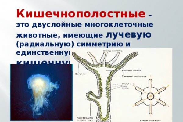 Список луковых tor сайтов