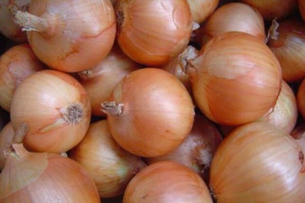 Кракен зеркало рабочее onion