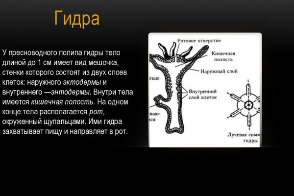 Правильная ссылка на кракен