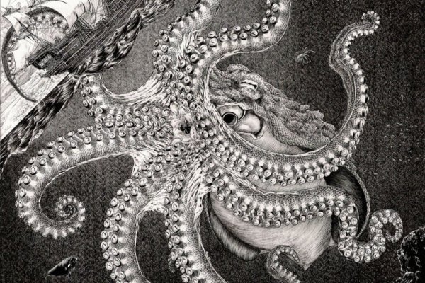 Kraken 20at