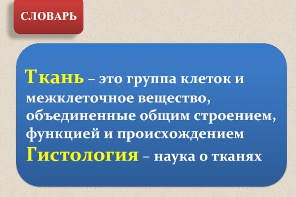 Через какой браузер можно зайти на кракен